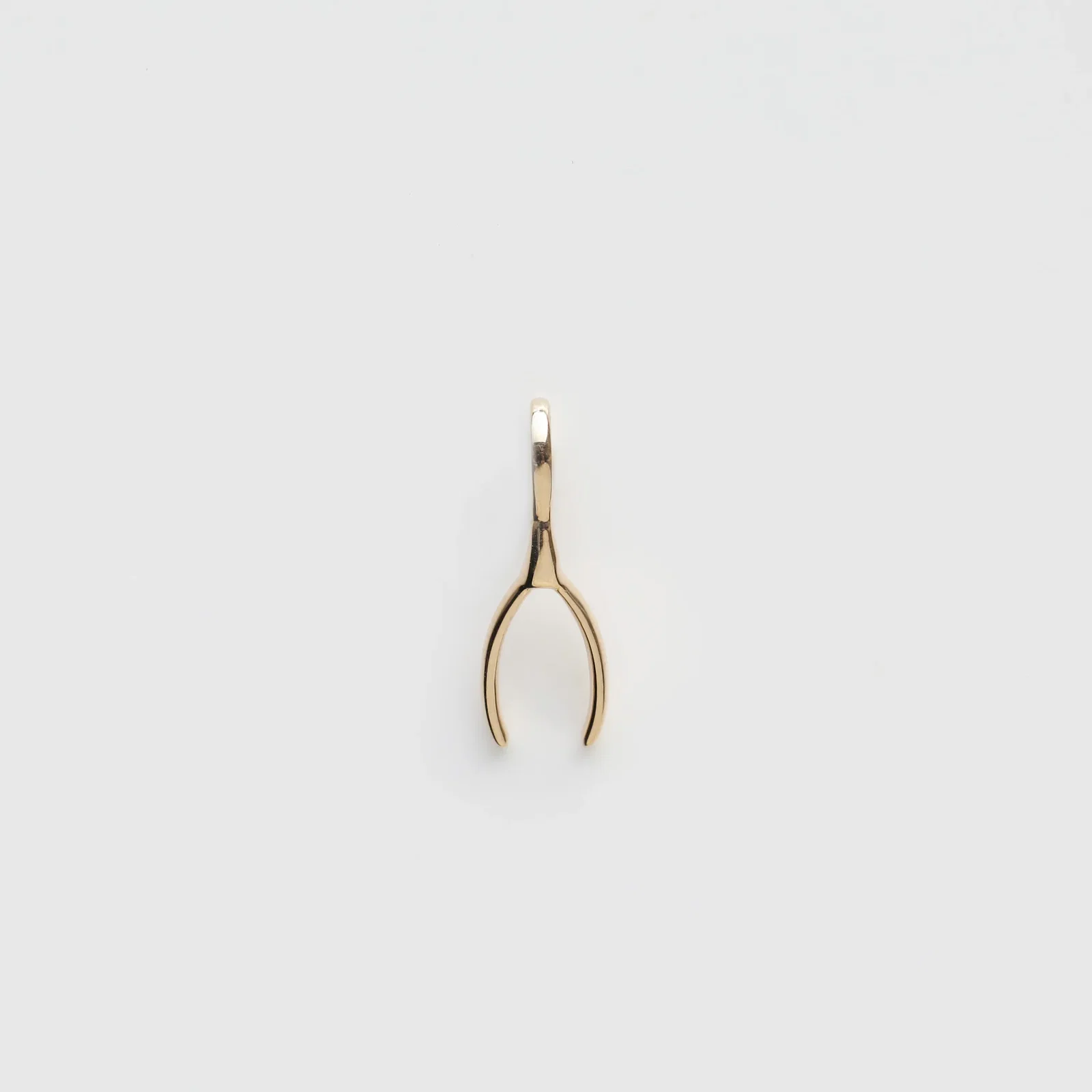 Image of Treasured Wishbone Charm