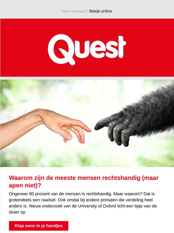 Dag buienradar: zo voorspel je het weer gewoon zelf