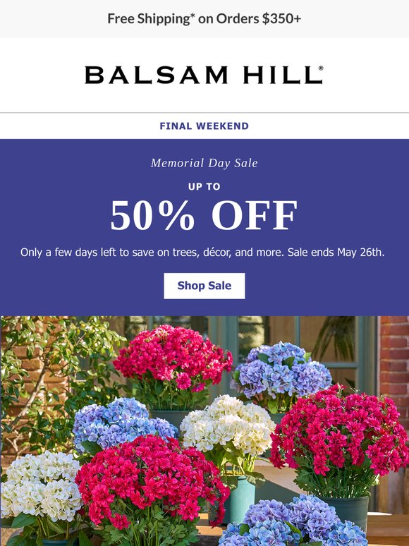 Don’t Miss This Weekend to Save 50%