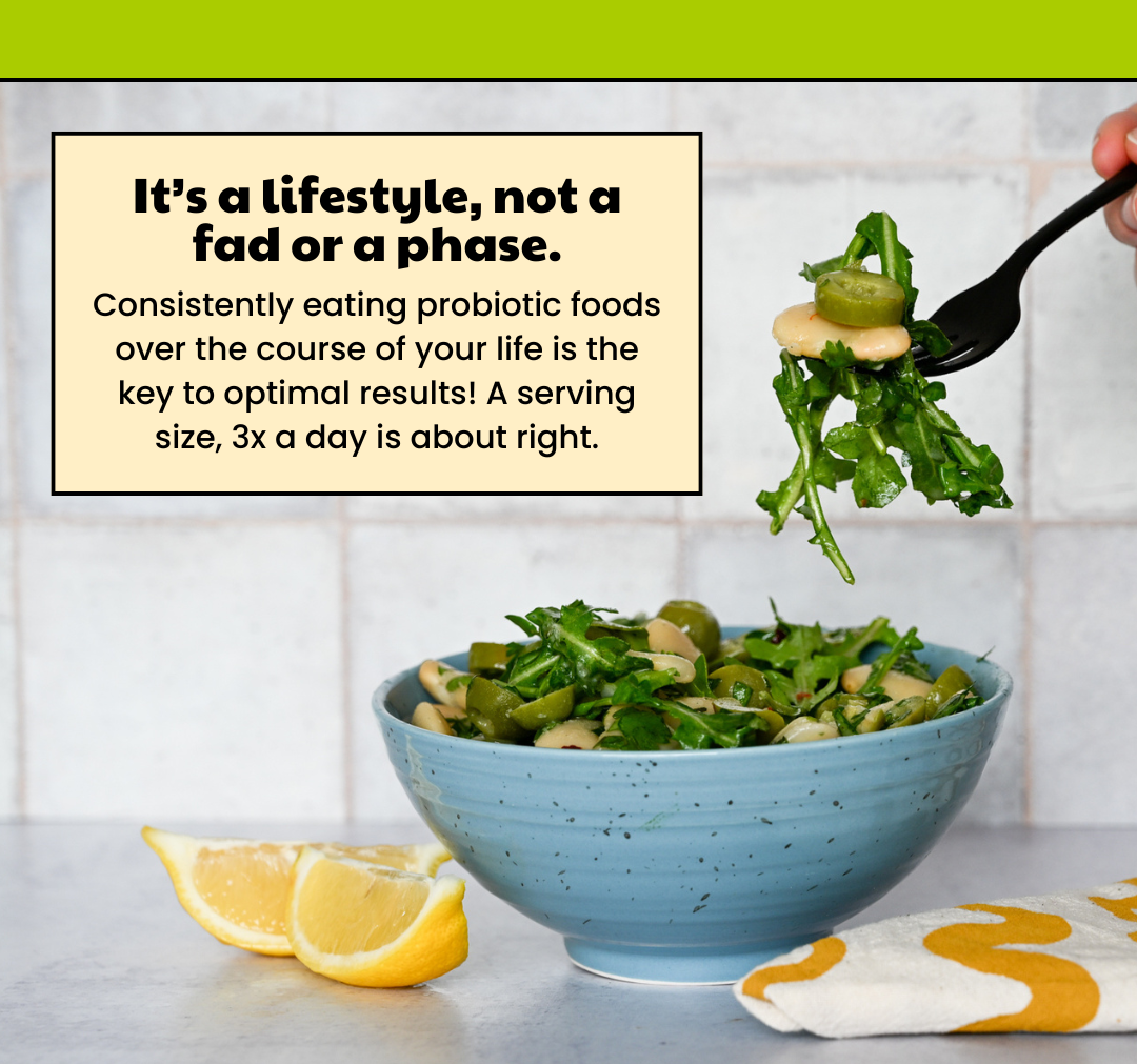Shop Nutrient-Dense Fermented Foods