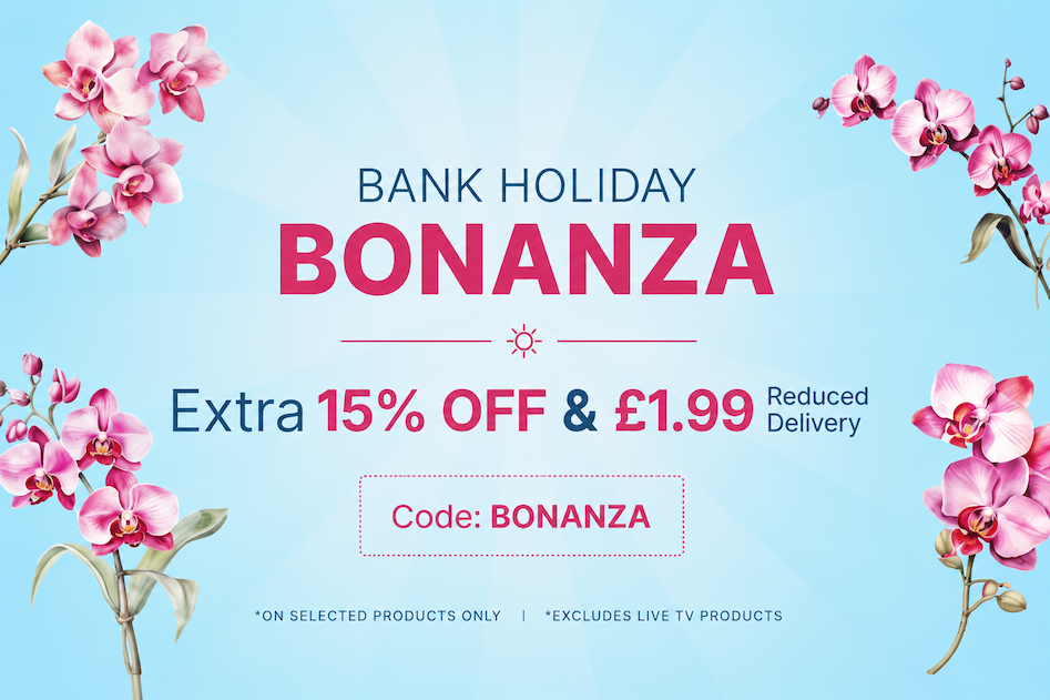 Bank holiday Bonanza 