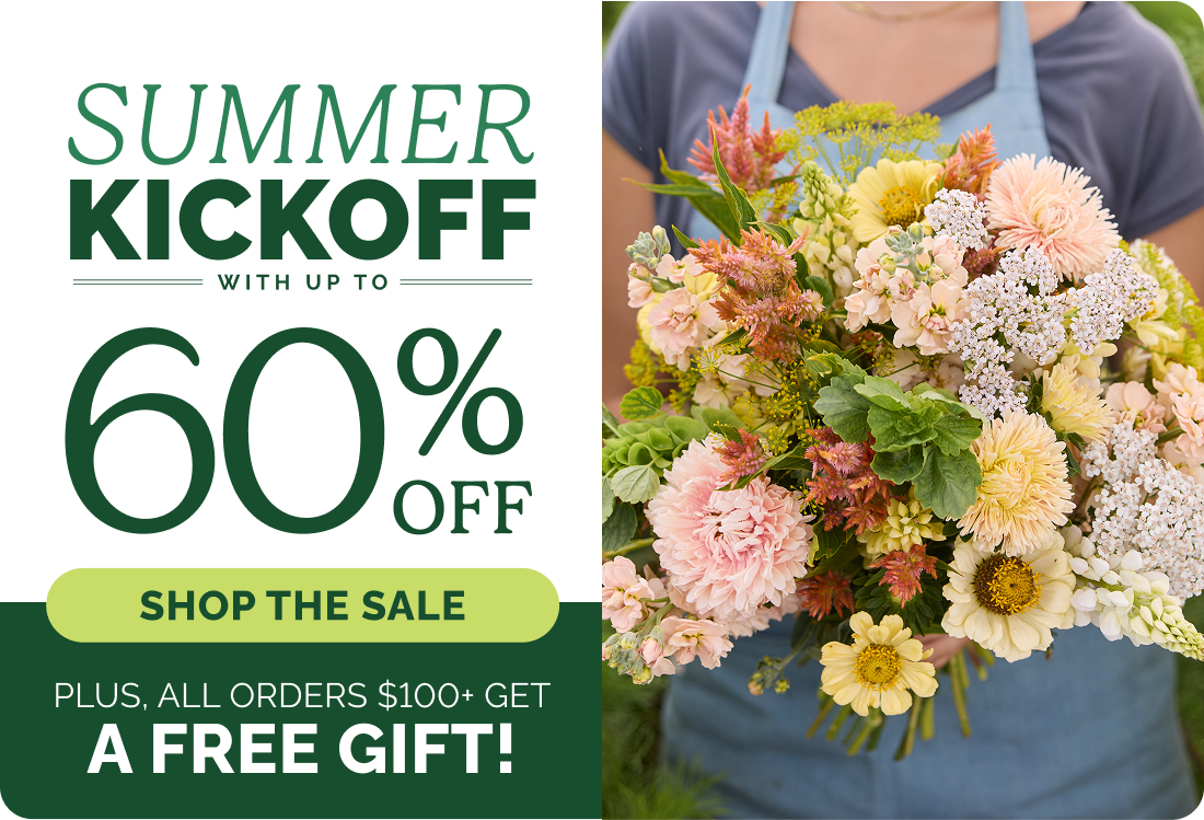 Summer Kickoff with up to 60% off; Shop the sale; Plus, all orders $100+ get a free gift!