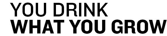 You Drink What You Grow