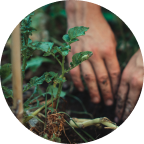 Eco-Conscious Certifications