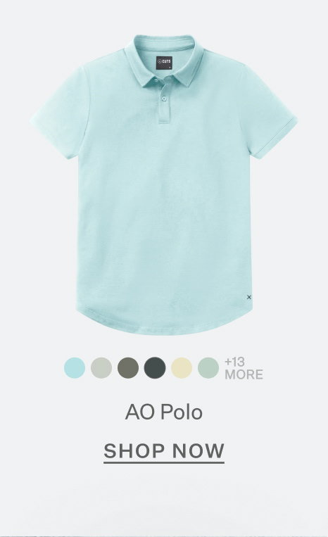 AO Polo