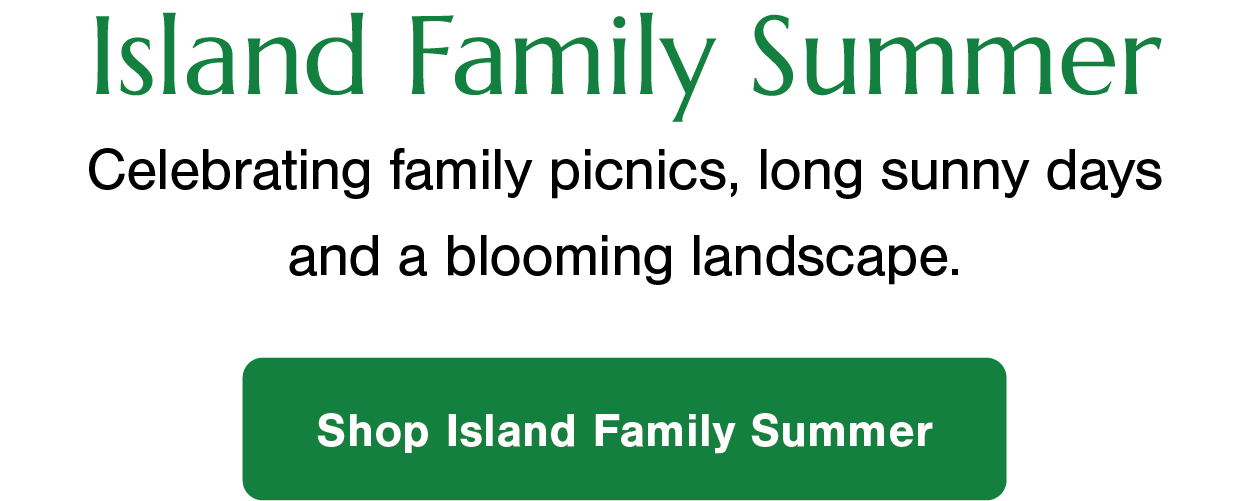 Shop Island Family Summer