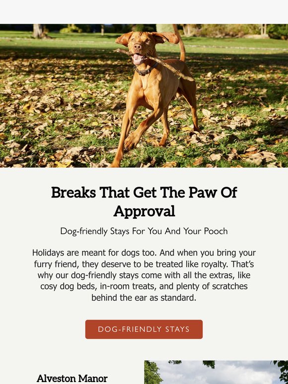 Furry friends welcome on your next stay