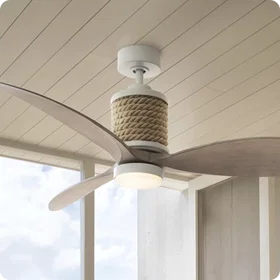 Ceiling Fans