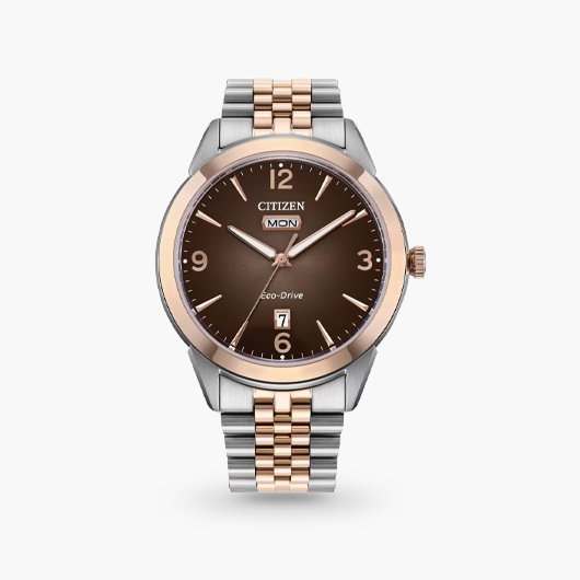 TOP EVERYDAY WATCH