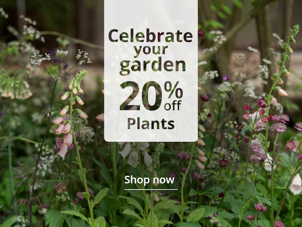 RHS Chelsea