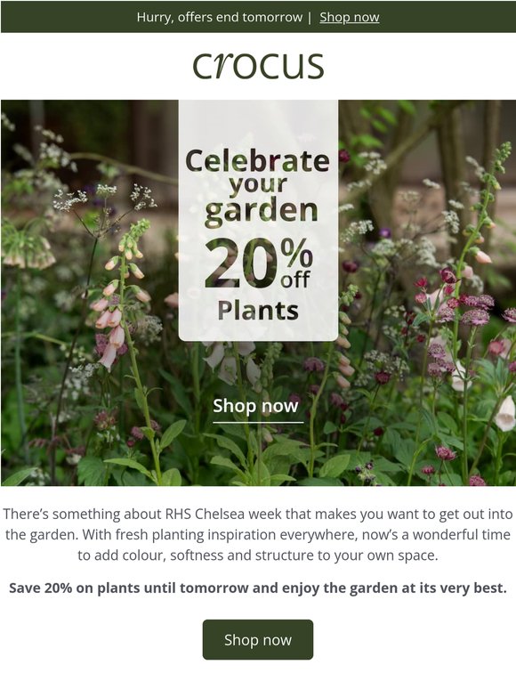 Your showstopping garden, 20% off