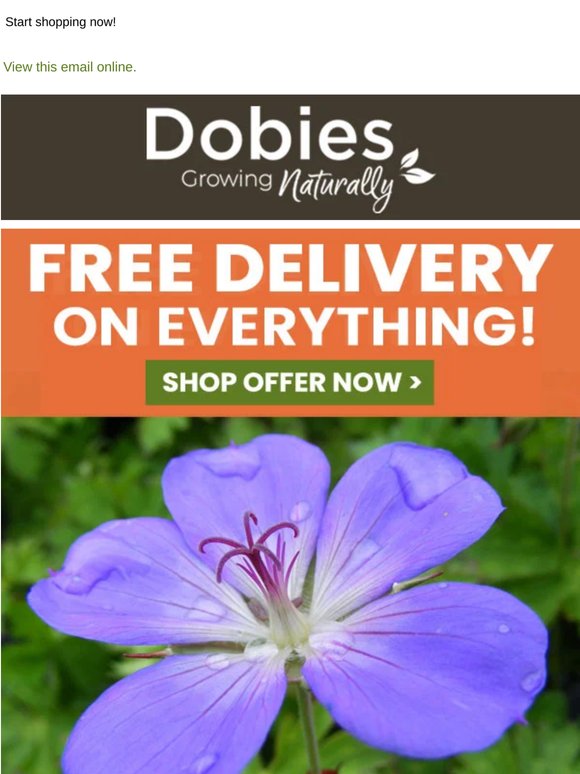 ENDS TONIGHT... FREE DELIVERY on EVERYTHING!