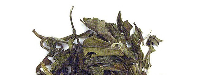 Premium Pai Mu Tan