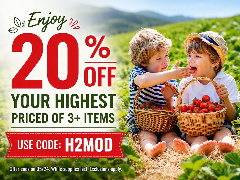20% off Your Highest Priced of 3+ Items