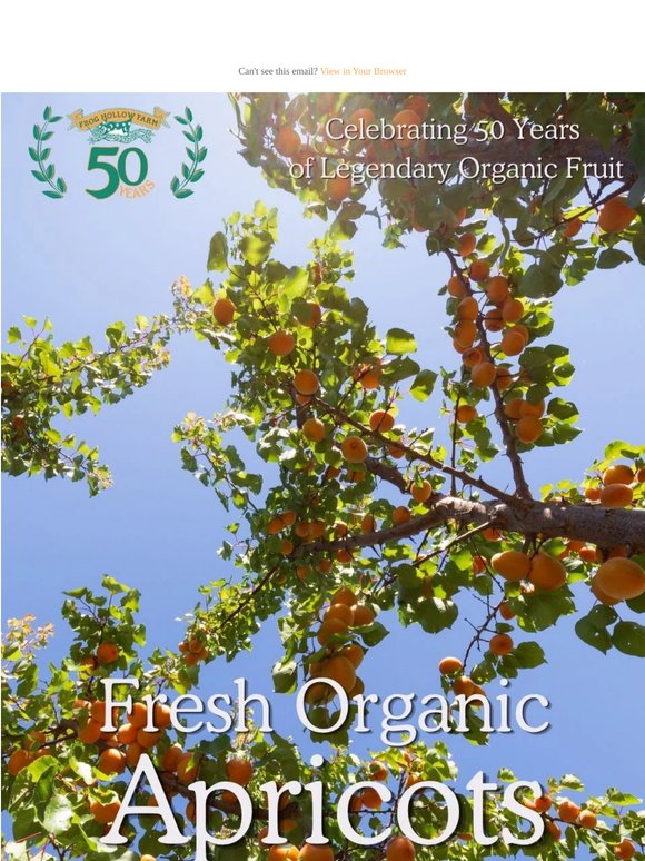 Get Your Legendary Organic Apricots!