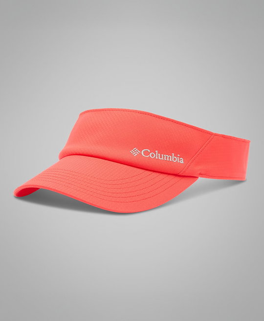Visor