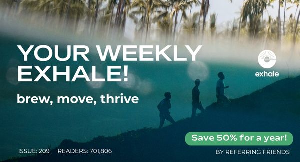 Exhale Healthy Coffee - Weekly Newsletter