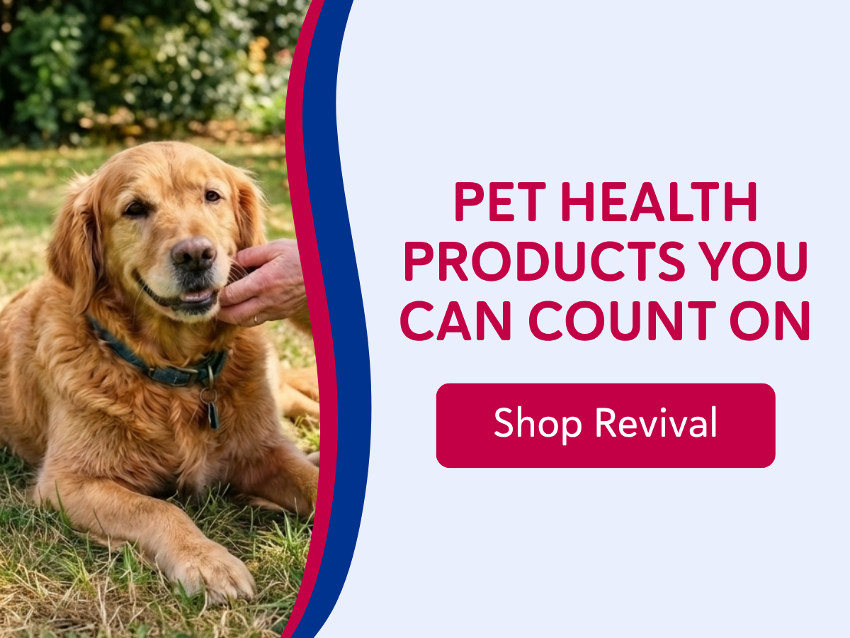 Shop Revival