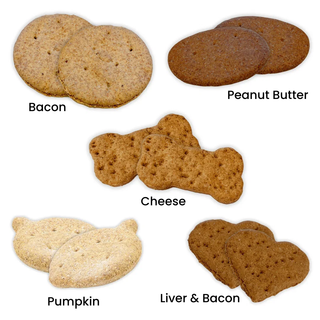 Image of Small Biscuit Snack Pack Subscription