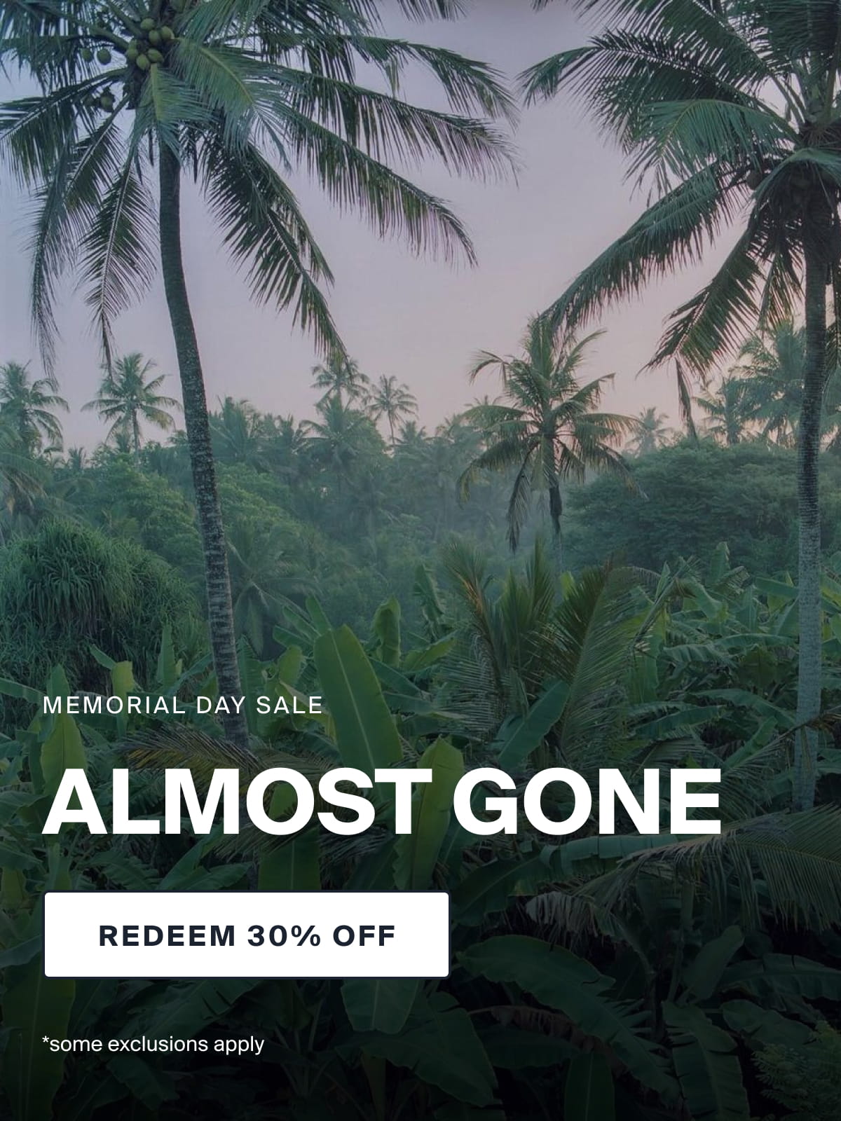 MEMORIAL DAY SALE | ALMOST GONE | REDEEM 30% OFF | *some exclusions apply  