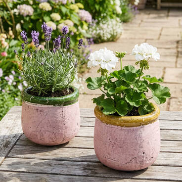 Round Terracotta Planters