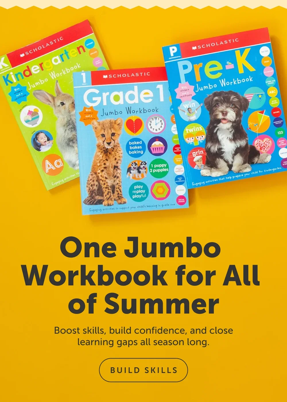 One Jumbo Workbook for All of Summer
