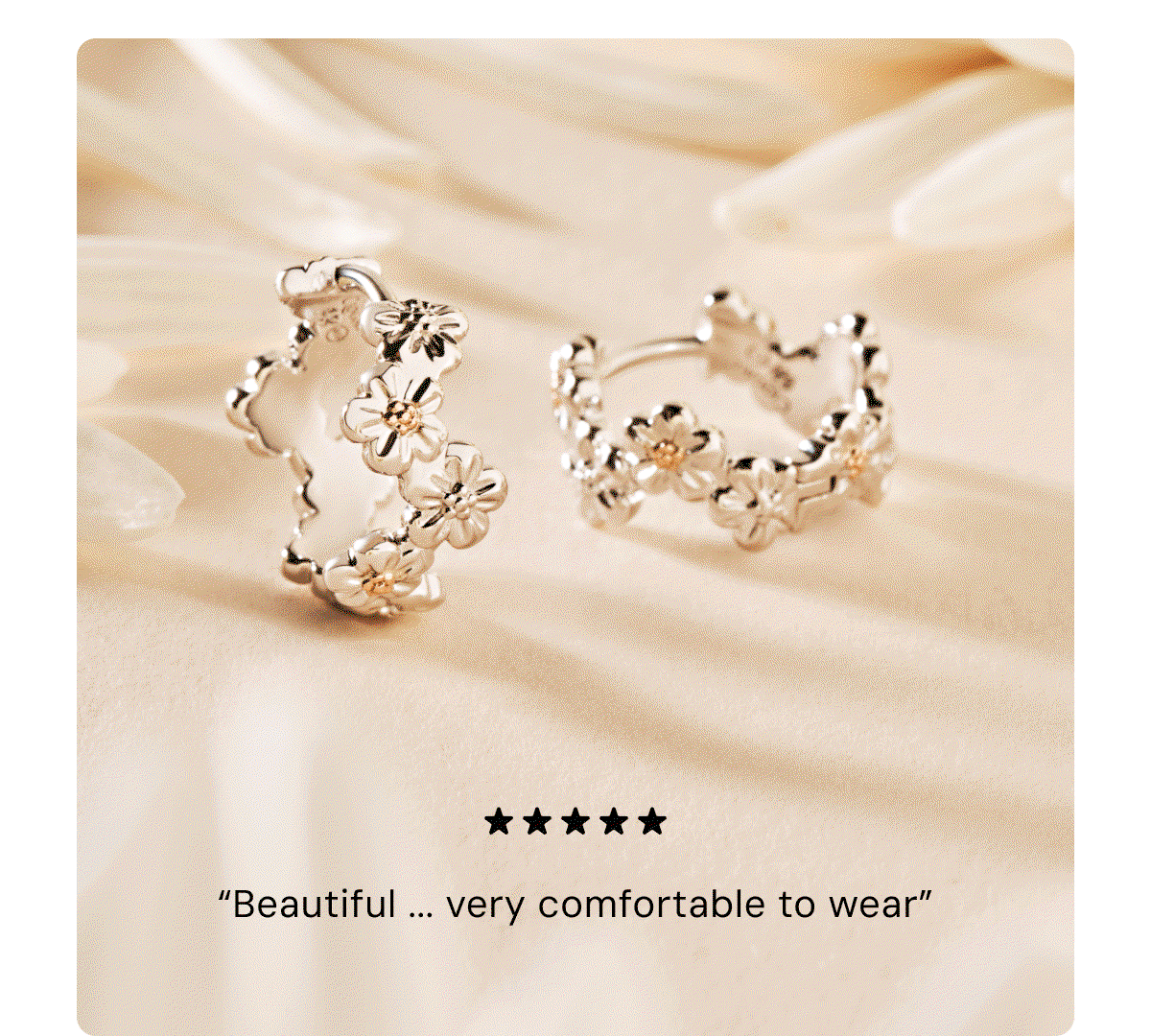 Nature's Wonder Collection
