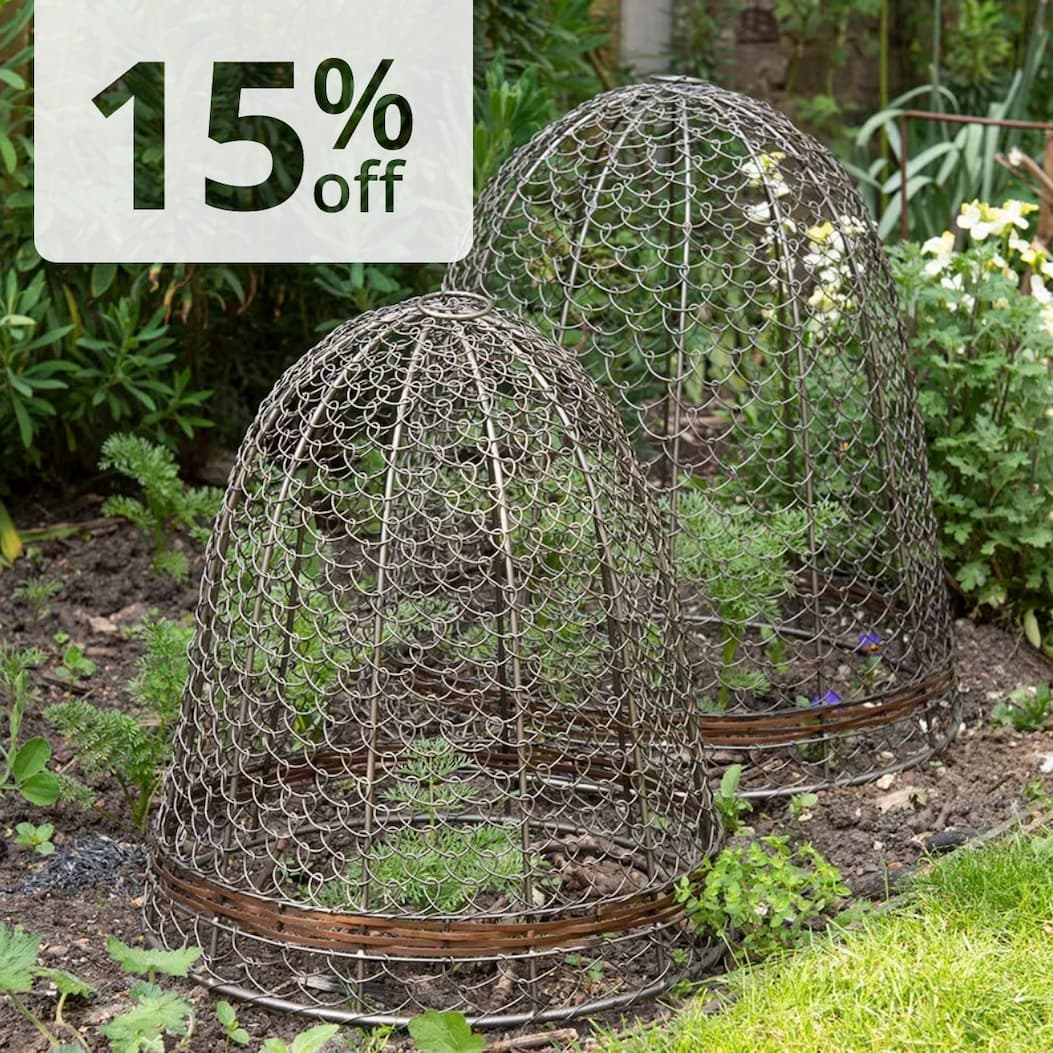 Cloches 