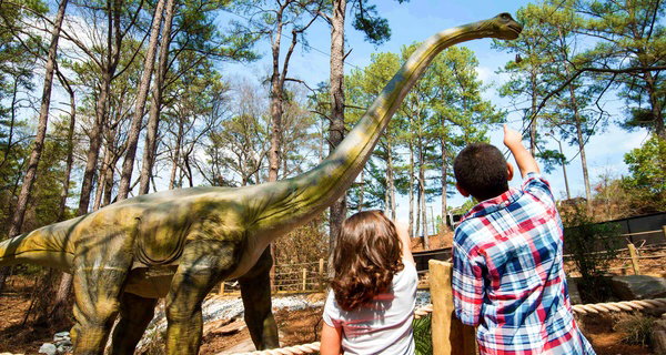 Attraction Tickets & Zipline Adventures at Stone Mountain Park, GA