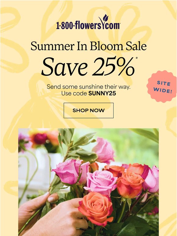Summer Sale Is On—Enjoy 25% Off for a Limited Time