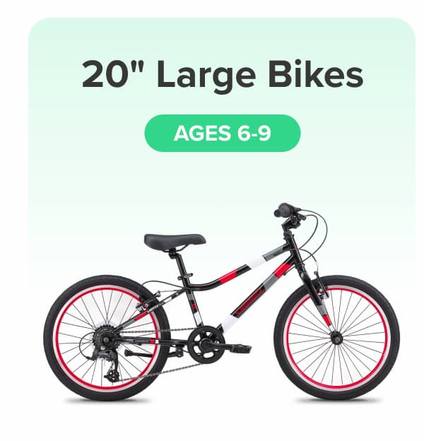 20" Large Bikes
