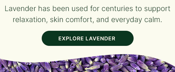 Our Most Loved Single: Lavender
