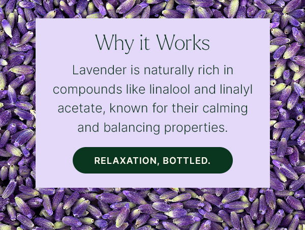 Our Most Loved Single: Lavender