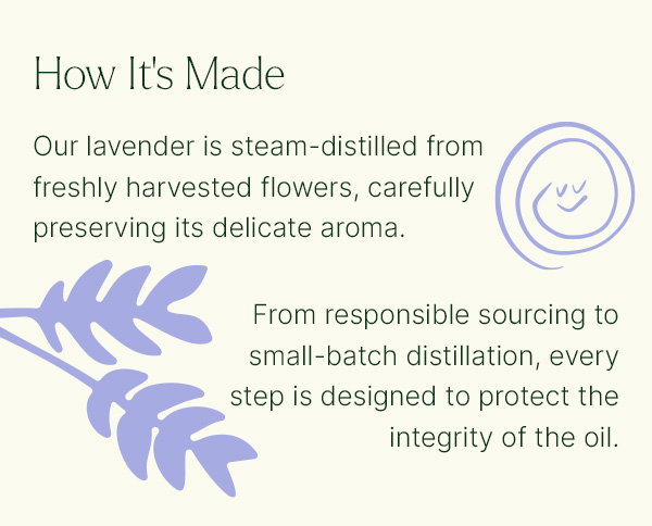 Our Most Loved Single: Lavender
