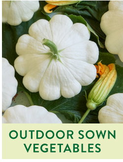 Direct Sow Vegetable Seeds