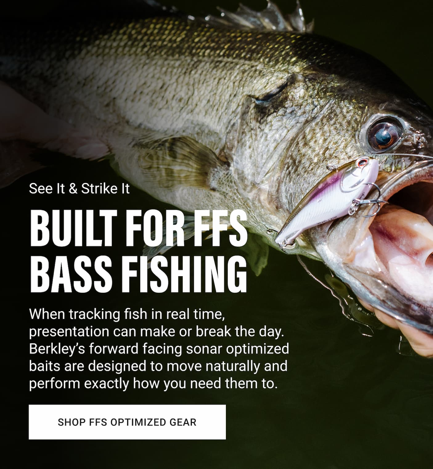FFS Collection Bass 
