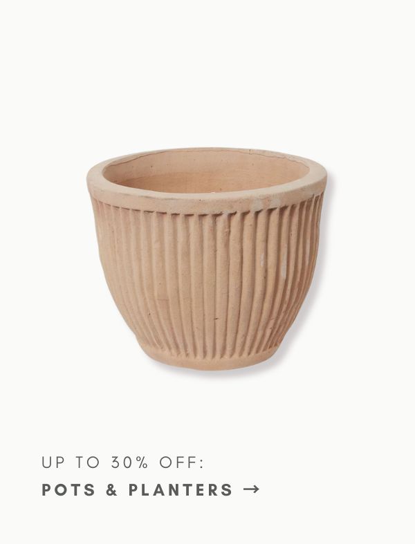 Up To 30% Off: Pots & Planters