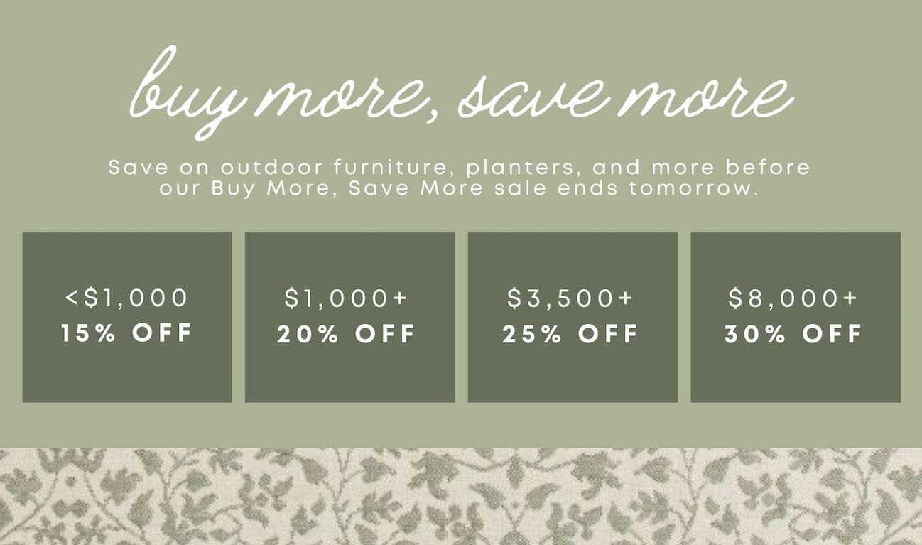 Buy More, Save More sale details