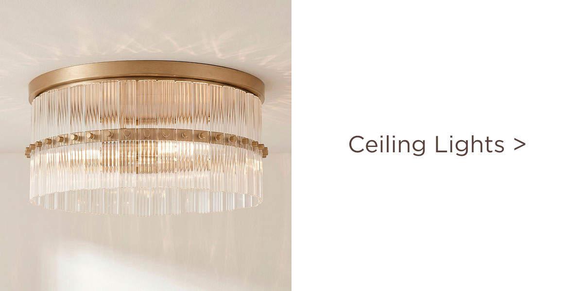 Ceiling Lights >