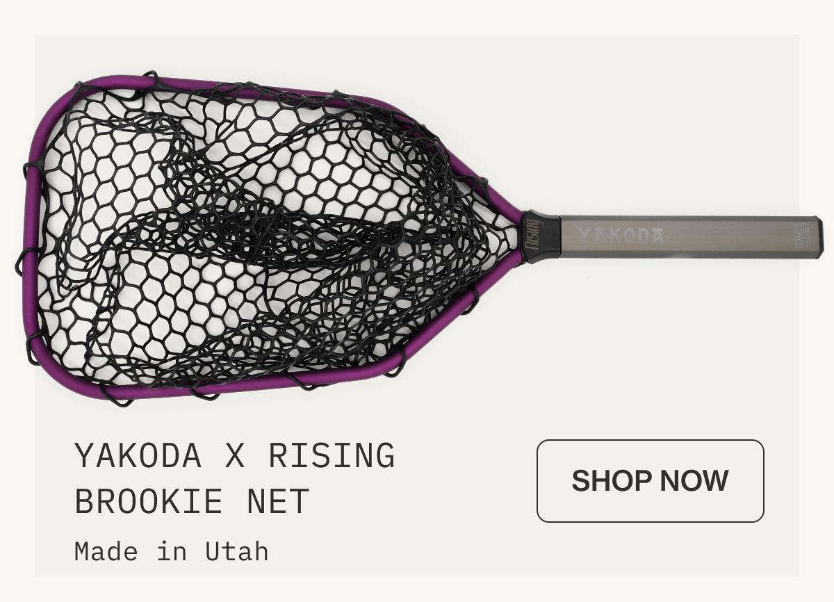 Rising Net