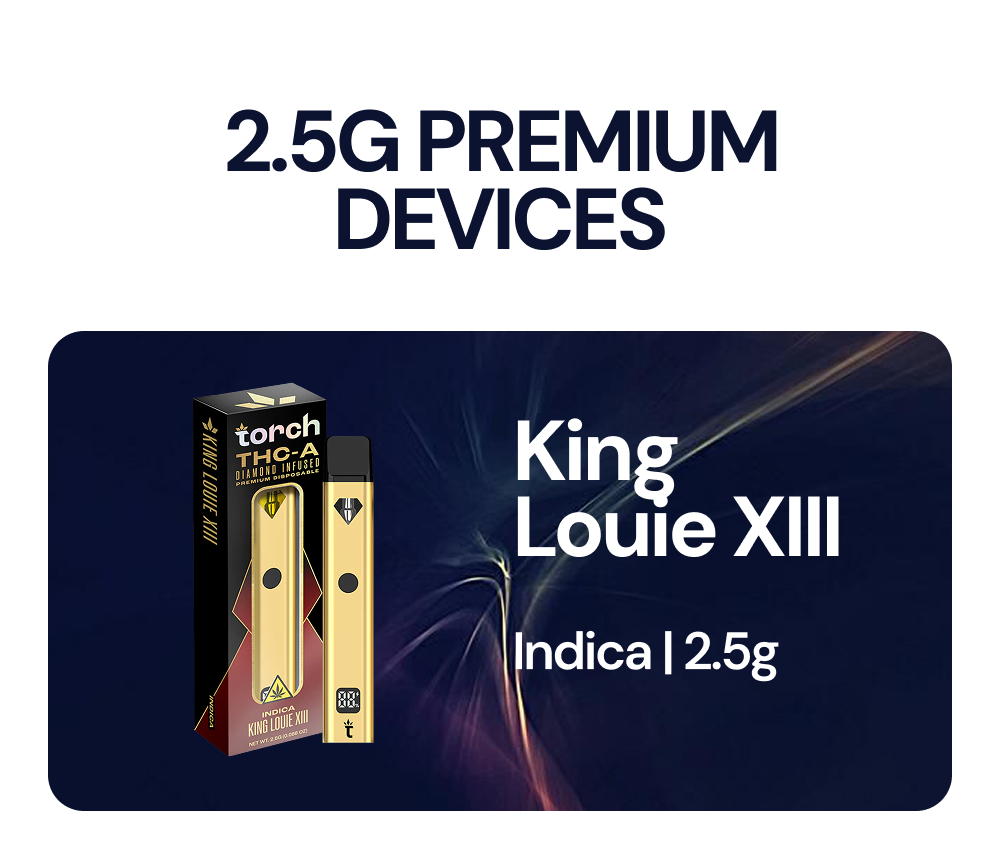 King Louie XIII