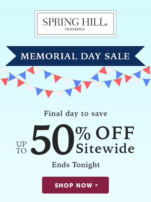SALE | Save up to 50%