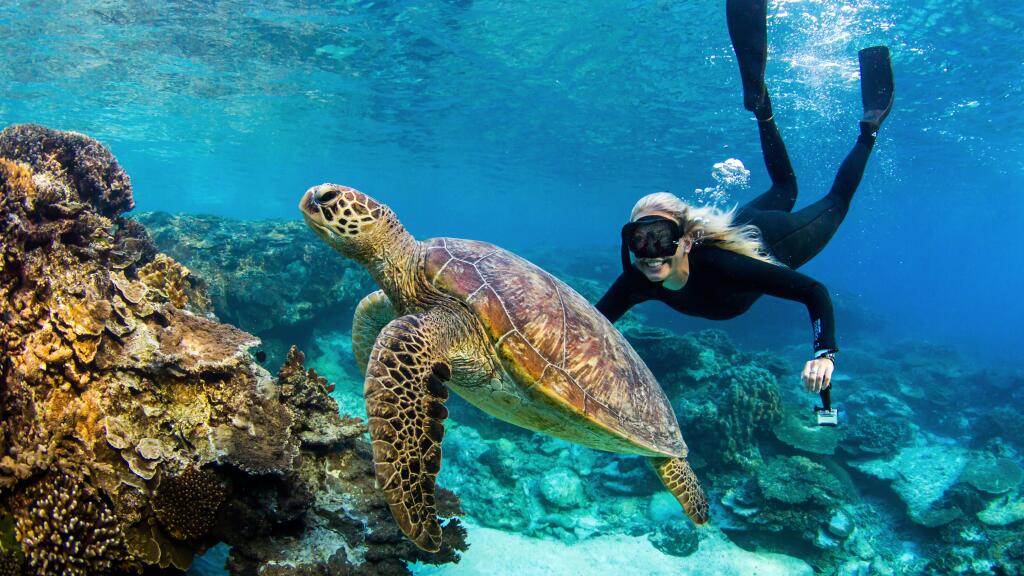 Lady Elliot Island Resort