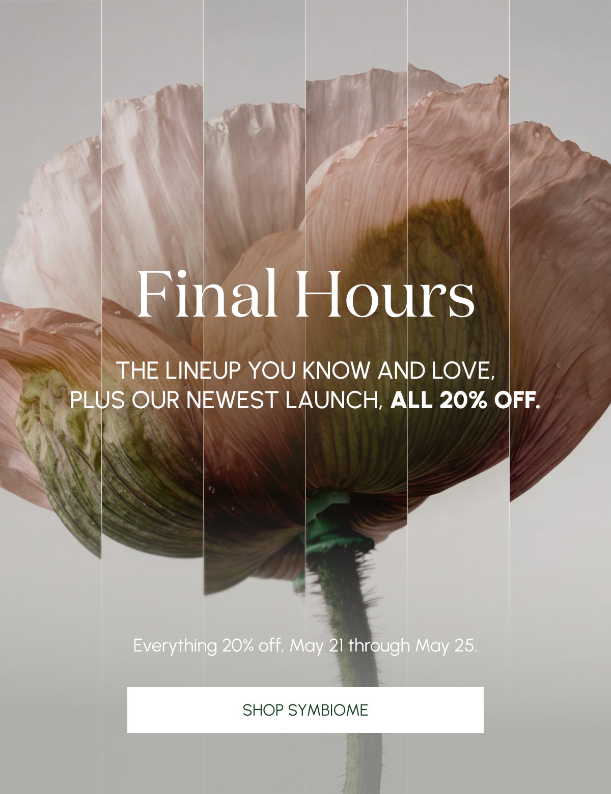 Final Hours