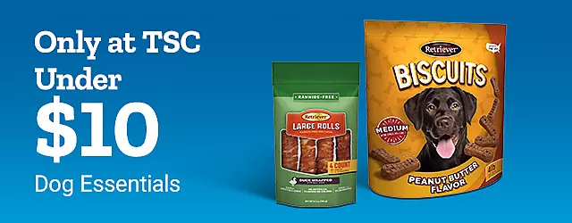 Dog Essentials