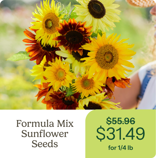 Formula Mix Sunflower Seeds