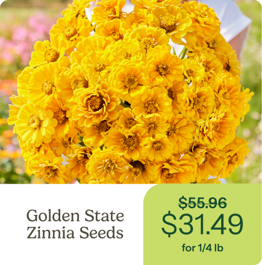 Golden State Zinnia Seeds