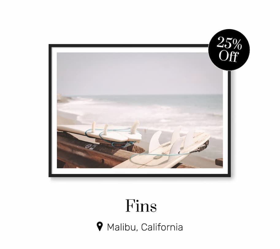 Fins