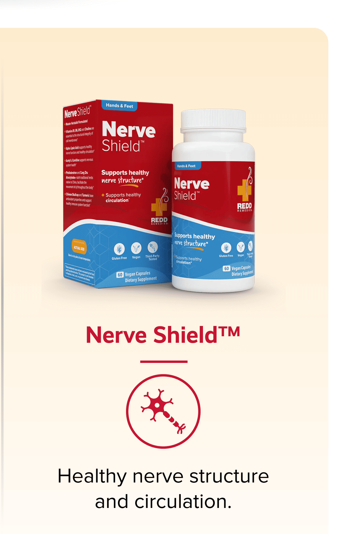Nerve Shield™ | Healthy nerve structure and circulation.