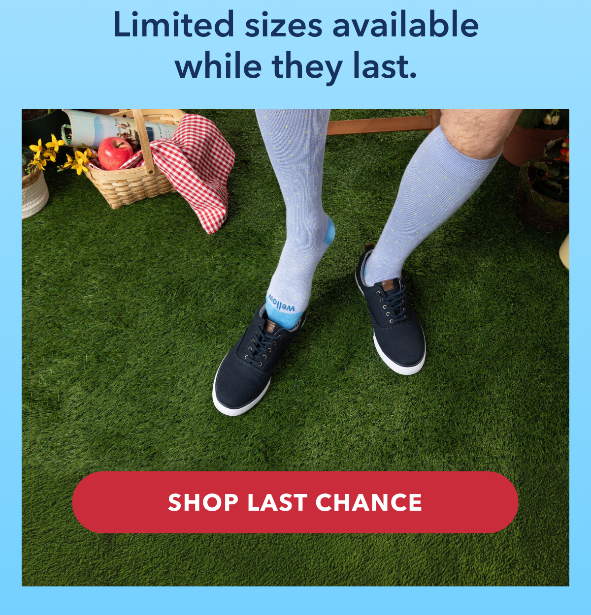 SHOP LAST CHANCE
